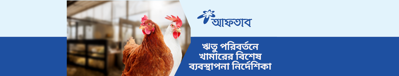 শীত থেকে গ্রীষ্মে ঋতু পরিবর্তনের সময় পোলট্রি খামারের বিশেষ ব্যবস্থাপনা নির্দেশিকা