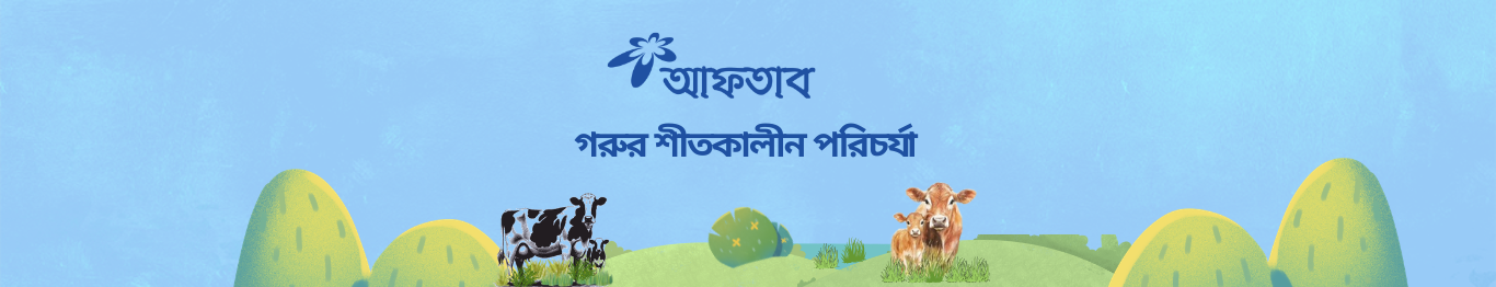 শীতেও সুরক্ষিত থাকুক খামার, আফতাব ফিডেই সমাধান।