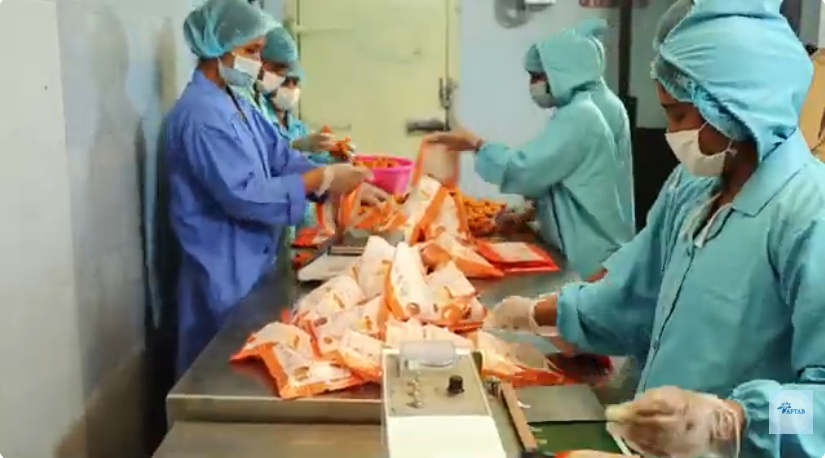 IG Foods- Primary & Further Processing